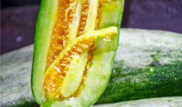 被吃瓜爆料的网红,揭秘背后惊人真相