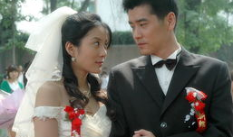 桃花运电视剧演员表,众星云集，演绎浪漫爱情传奇